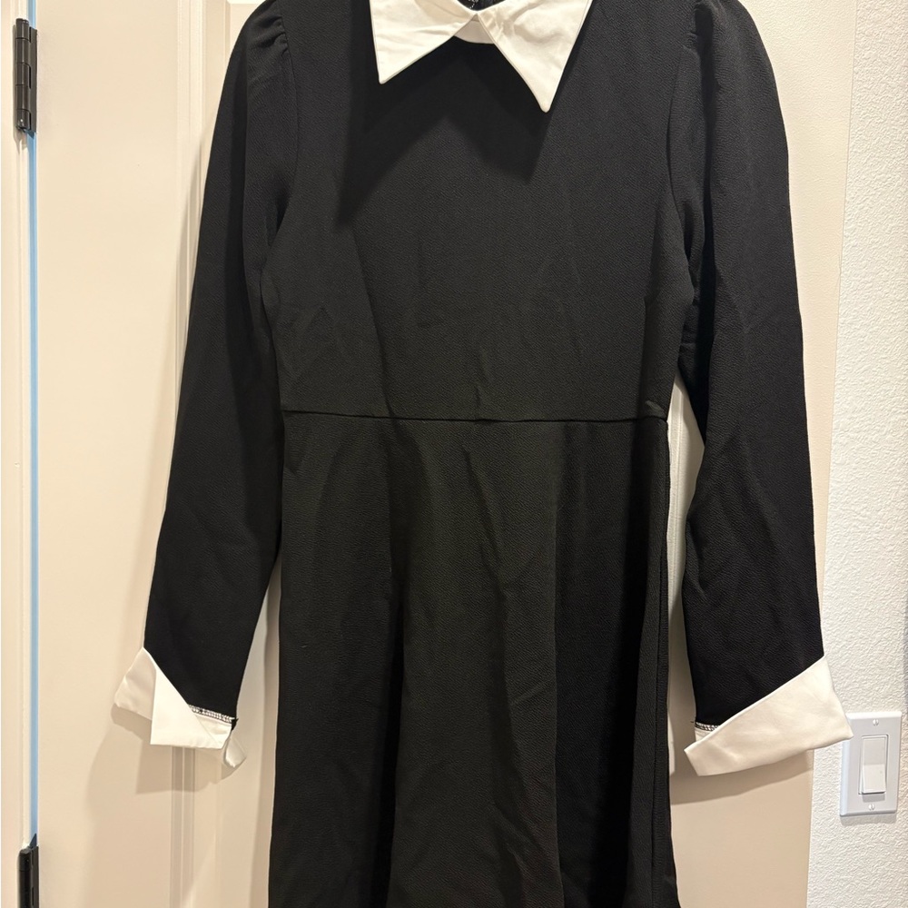 Classic Black and White Collar Womens Dress